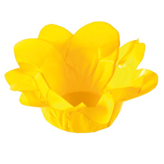 AMARELO VIVO