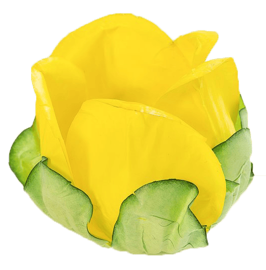 AMARELO VIVO