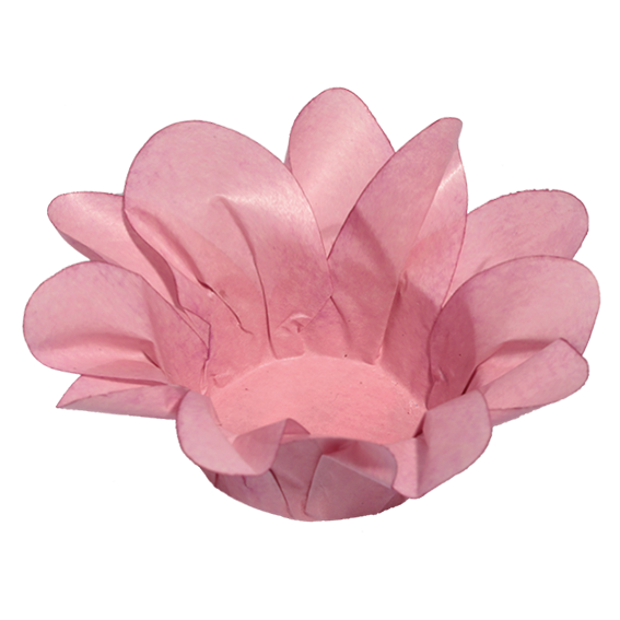 ROSA SECO 1