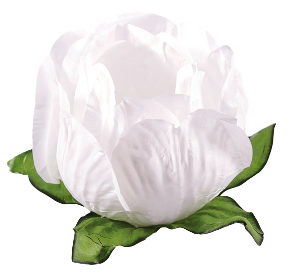 PRINCESA BRANCO