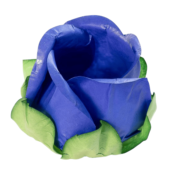 AZUL ROYAL