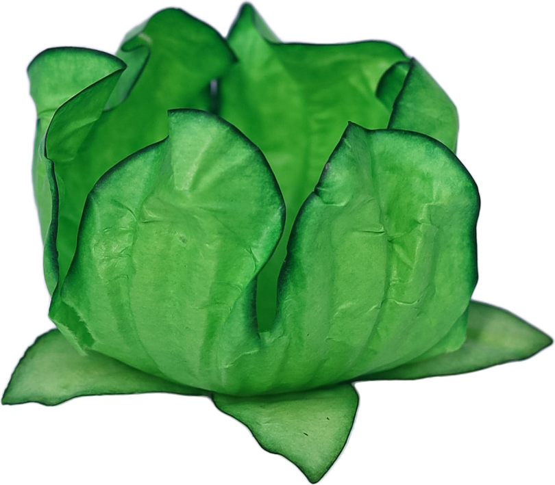 26 STYLO VERDE LIMÃO
