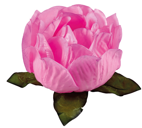 BELA ROSA CLARO