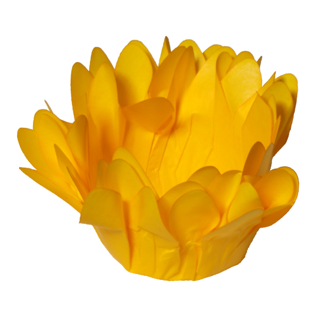 11 AMARELO VIVO