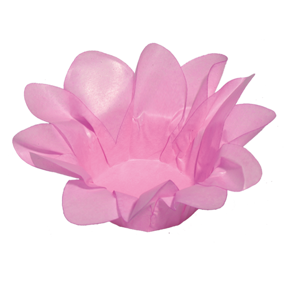 ROSA CLARO