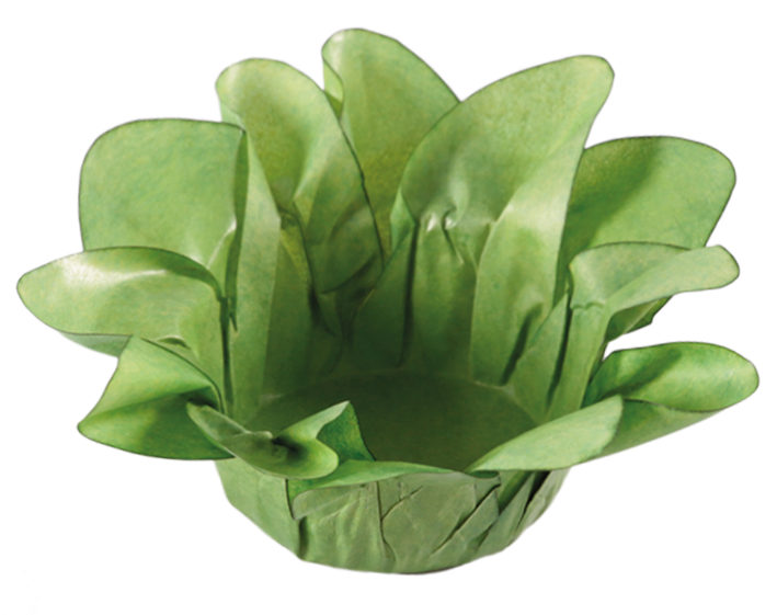 PISTACHE