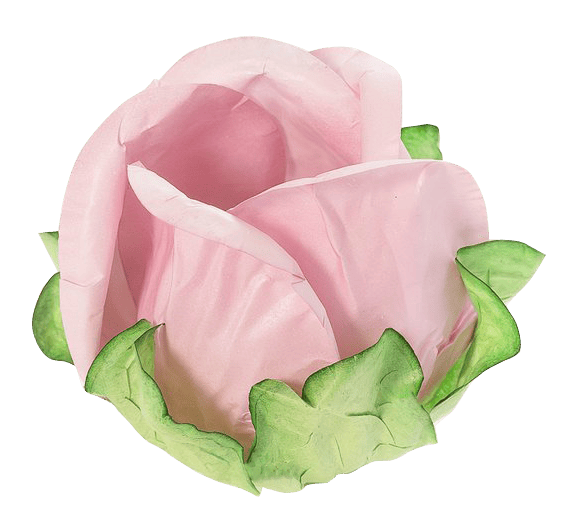 ROSA SECO1