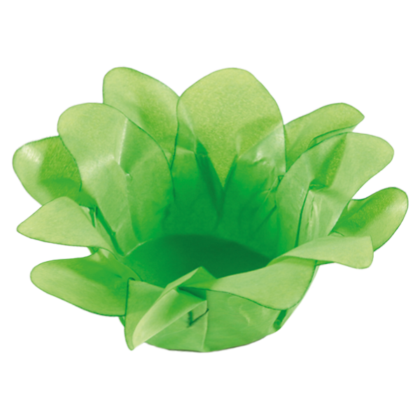 VERDE LIMÃO