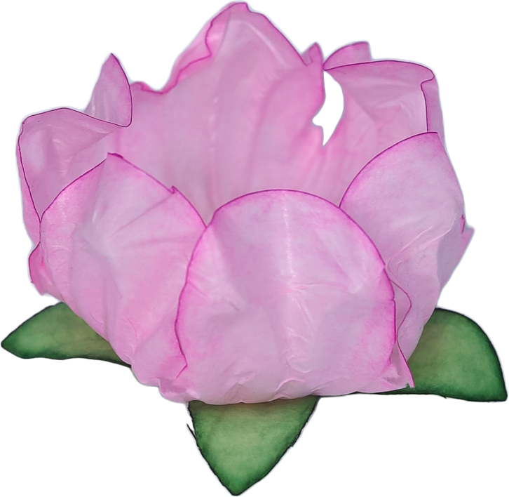 19 STYLO ROSA CLARO