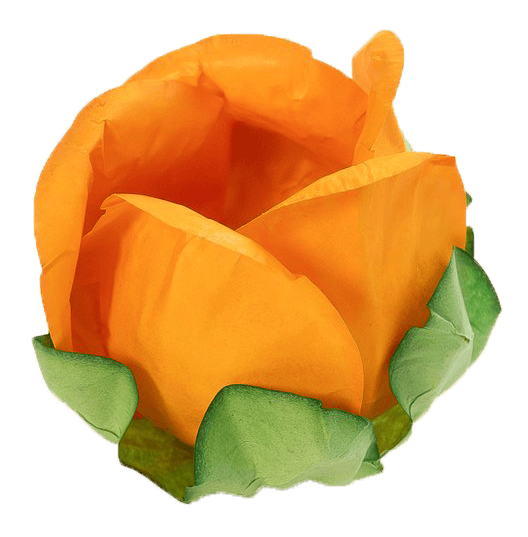 LARANJA