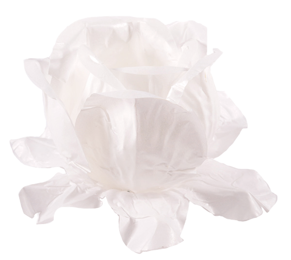 RAINHA BRANCO BRANCO