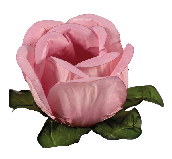 RAINHA ROSA SECO 1