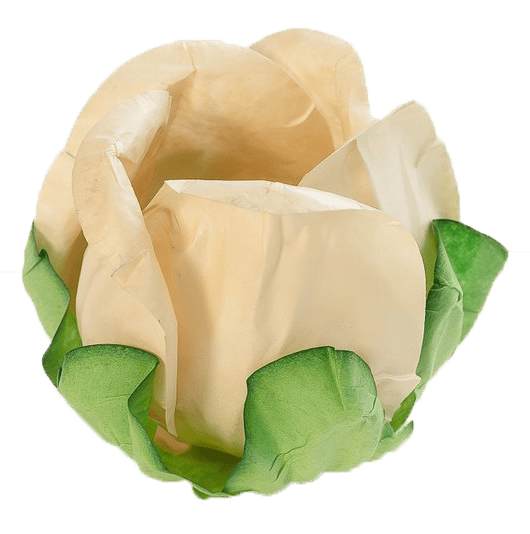 VANILLA