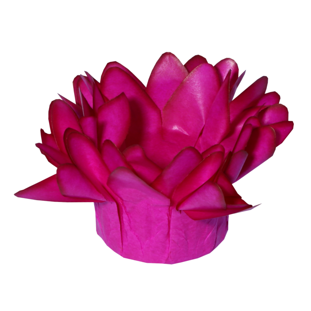 32 PINK