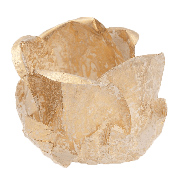 DOURADO DOURADO