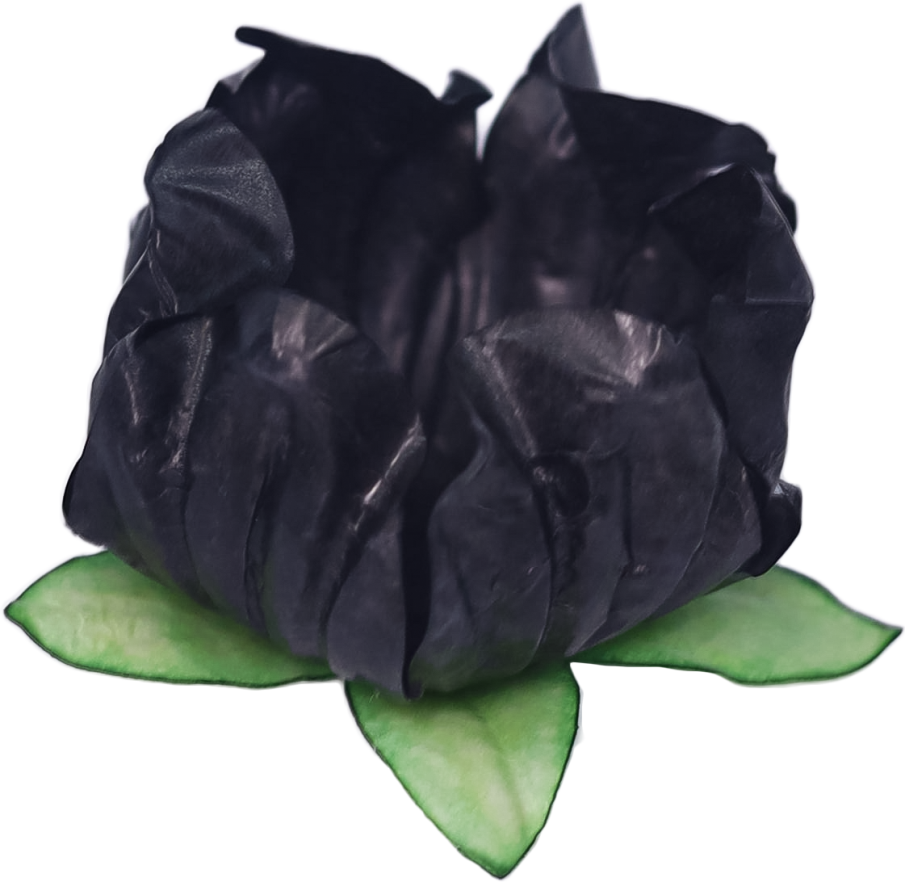 29 STYLO PRETO