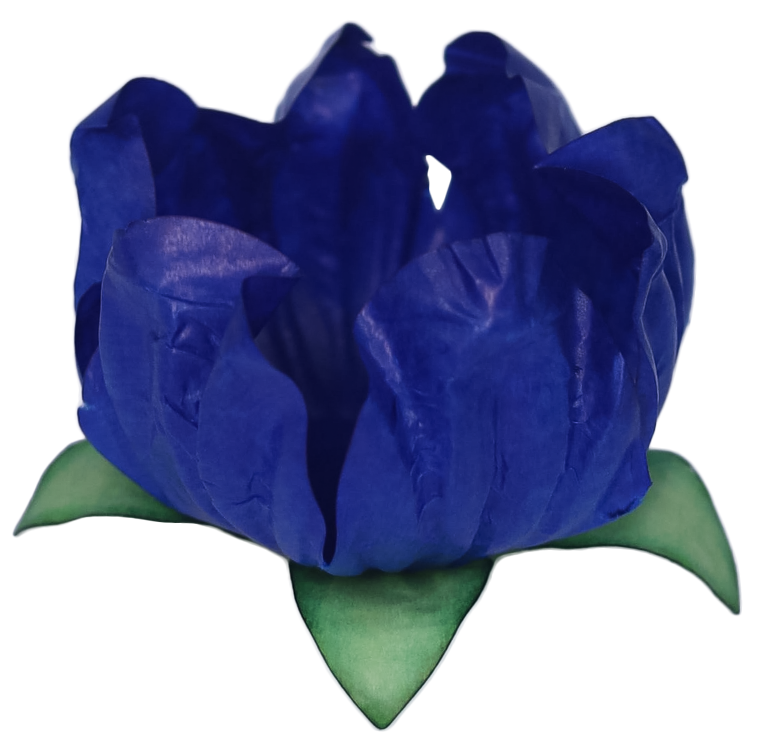 22 STYLO AZUL ROYAL