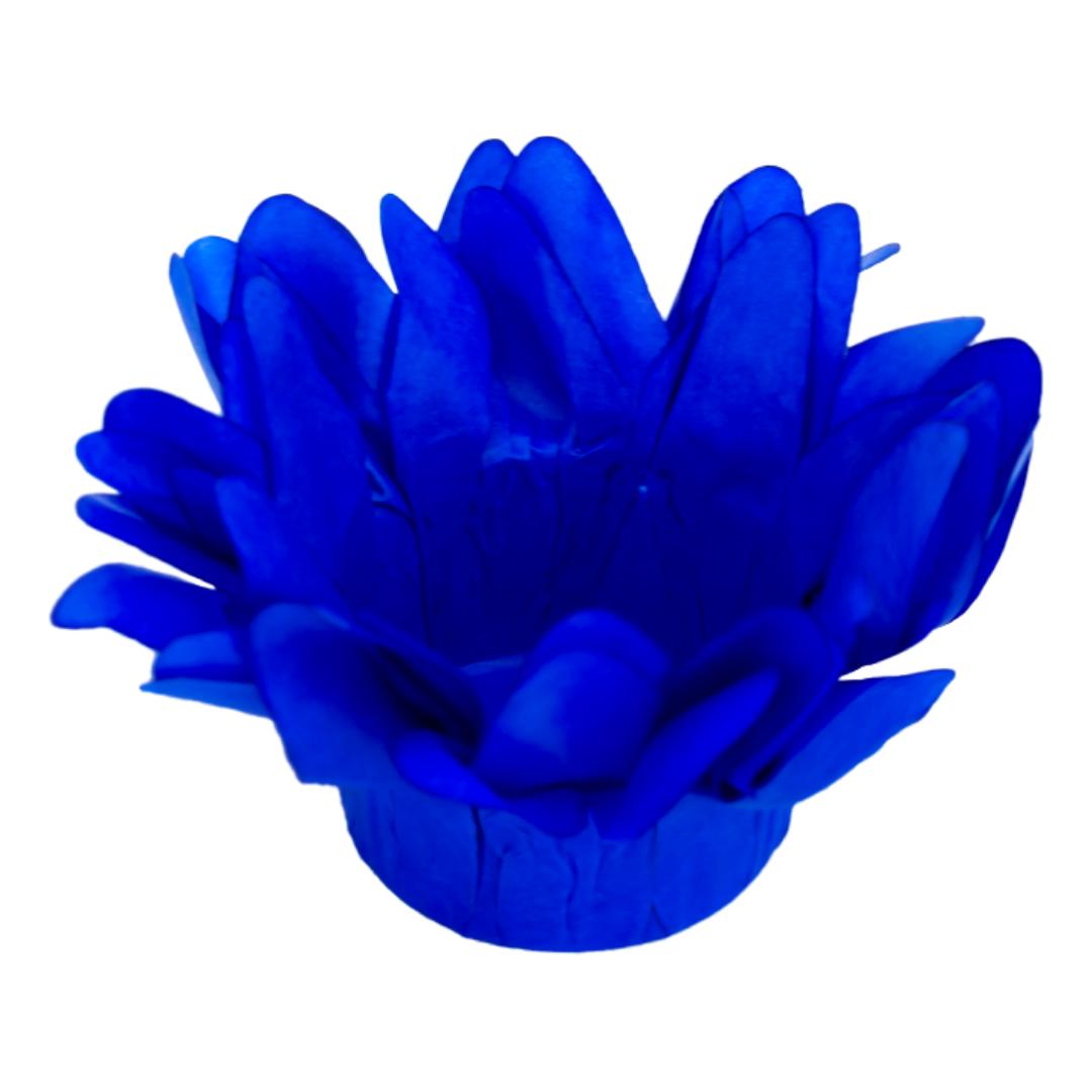 44 AZUL ROYAL
