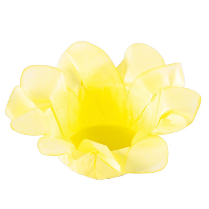AMARELO CLARO