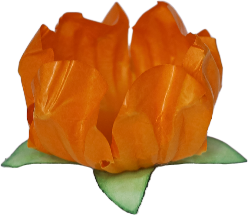 11 STYLO LARANJA