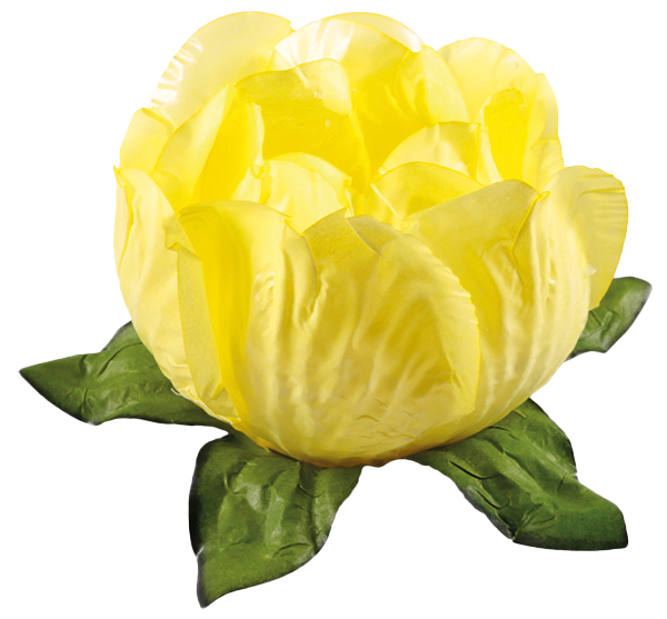 PRINCESA AMARELO CLARO