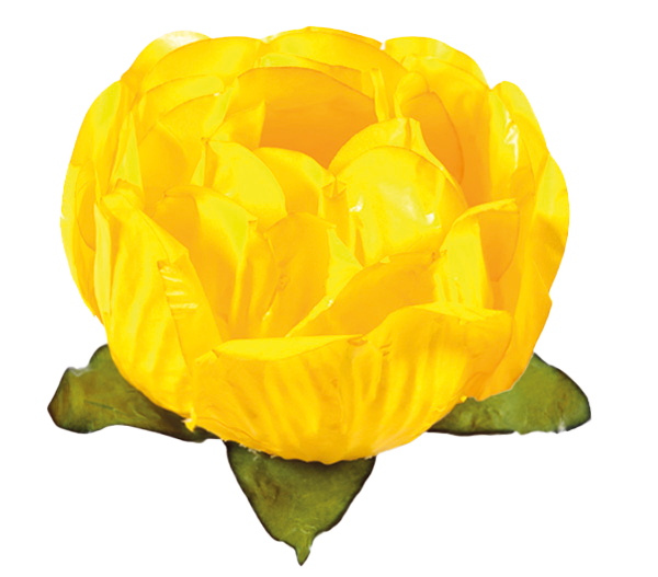 BELA AMARELO VIVO