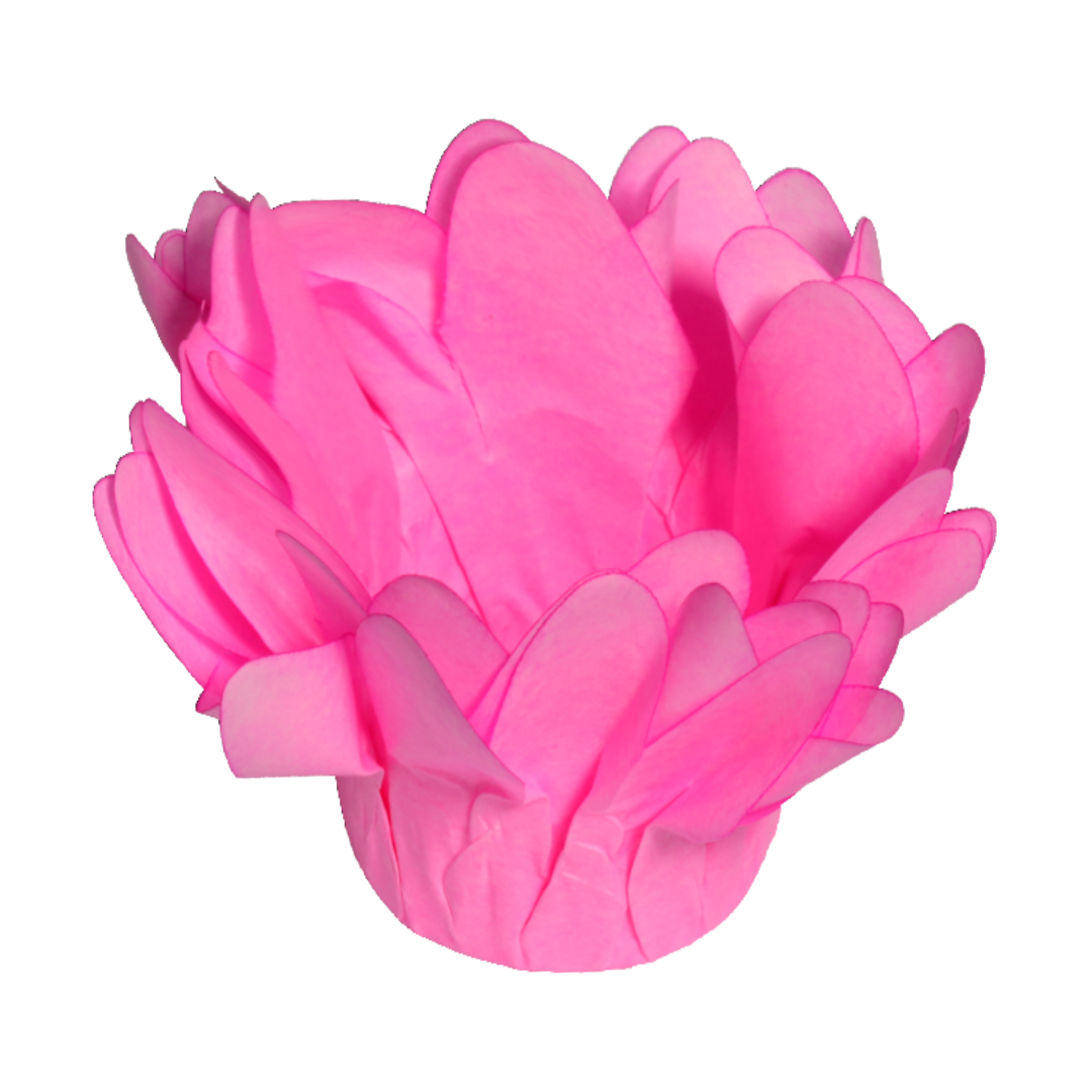 34 ROSA CLARO