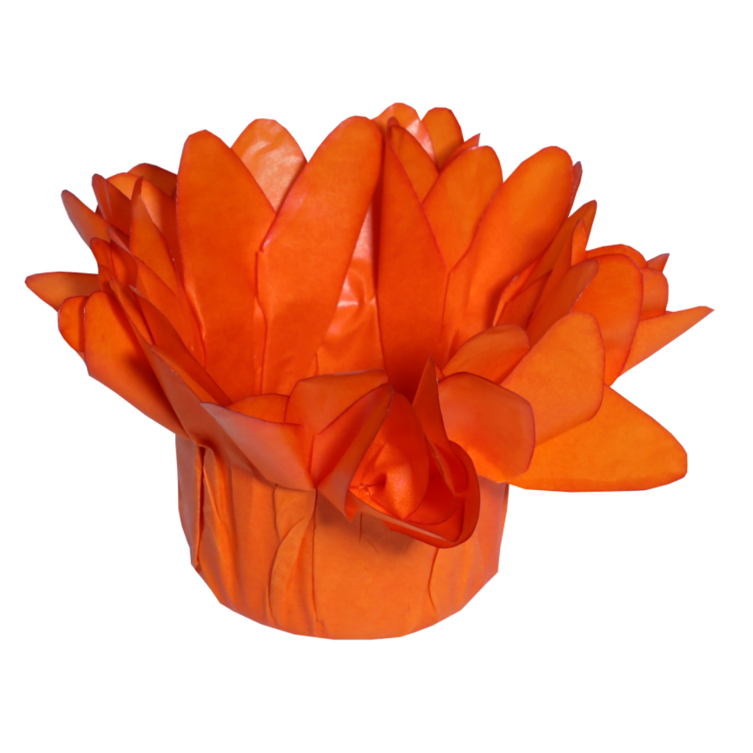 16 LARANJA
