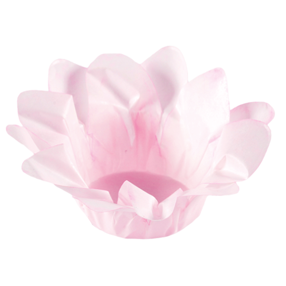 ROSA BB