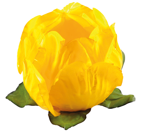 PRINCESA AMARELO VIVO