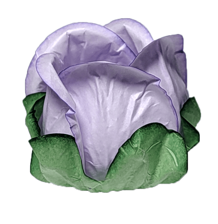 LILAS