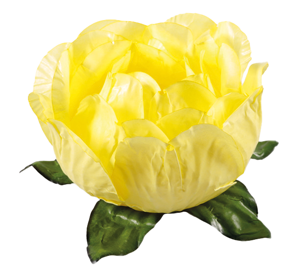 BELA AMARELO CLARO
