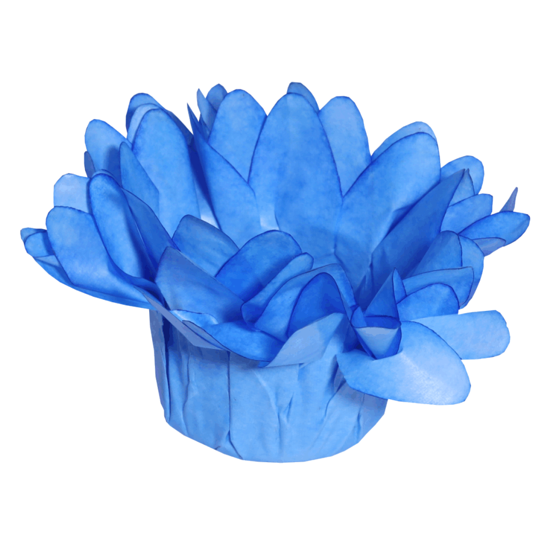48 AZUL CLARO