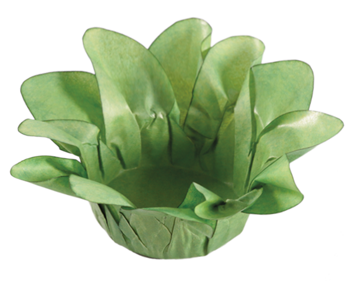 PISTACHE CLARISSIMO