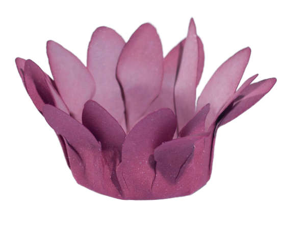 MINI MADRI   ROSA SECO 1