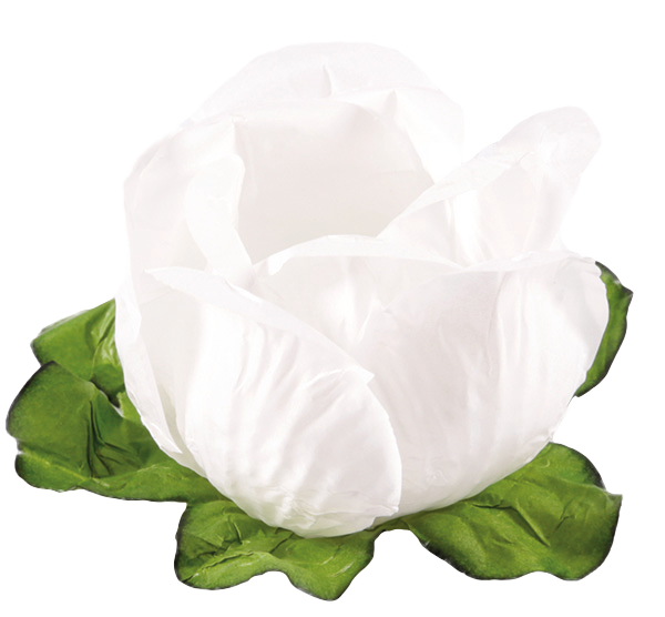 RAINHA BRANCO