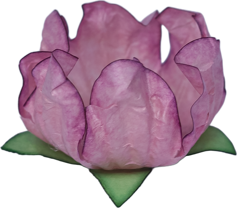 16 STYLO ROSA SECO 1
