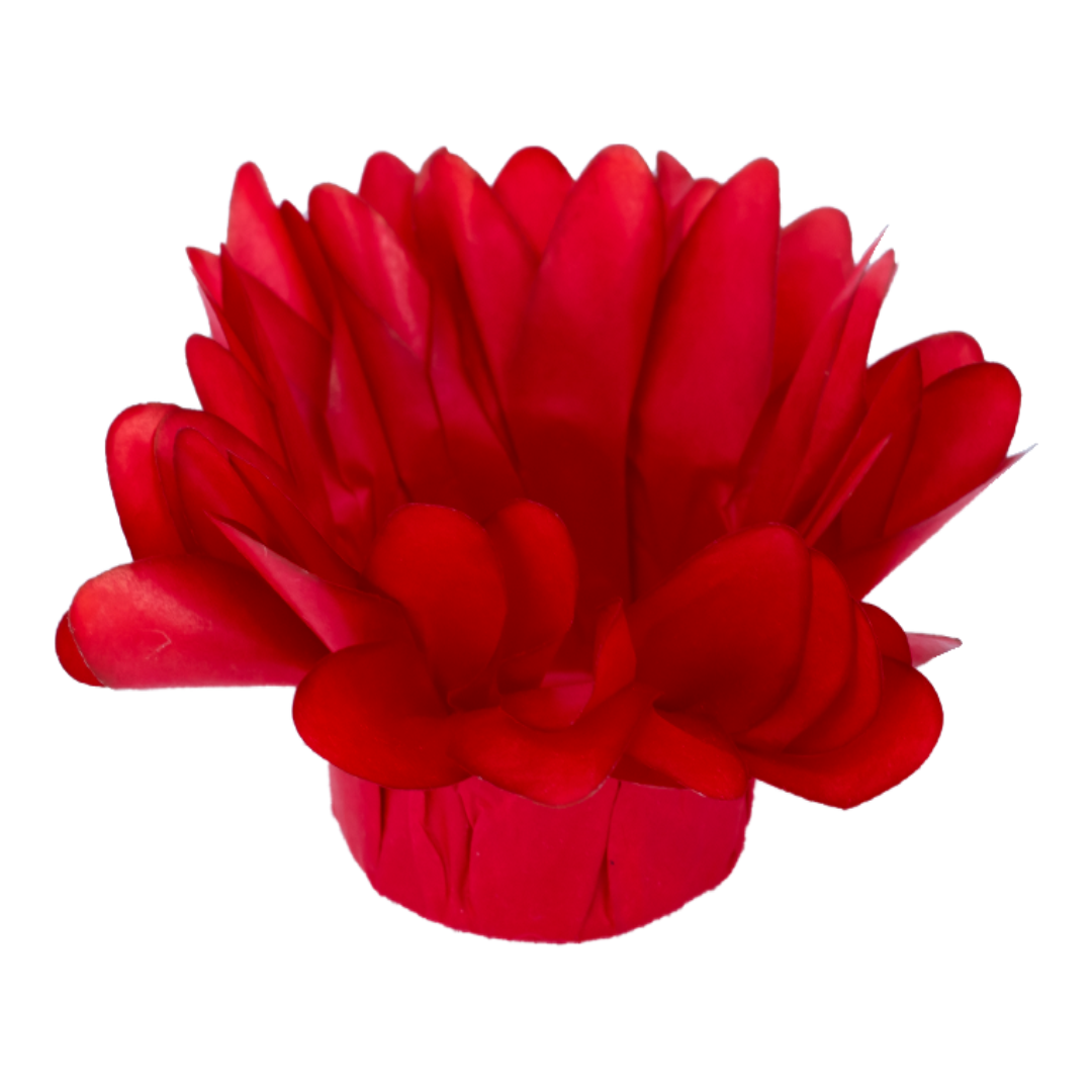 18 VERMELHO