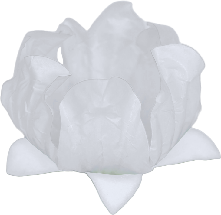 2 STYLO BRANCO BRANCO